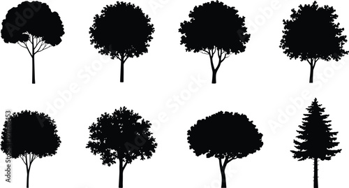Tree silhouettes illustration with pine, oak, rounded canopies, conical forms, botanical diversity, black and white landscape artwork concept