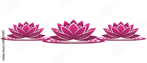 Three stalks of lotus flowers float on the pond in pink.