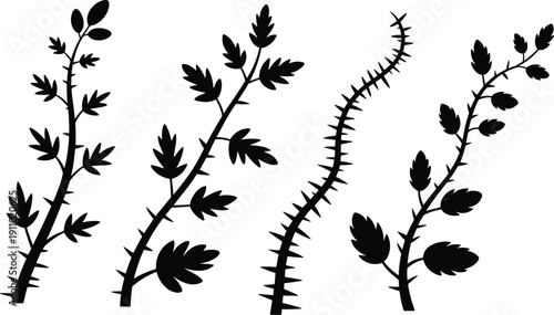 Vector, black, silhouette, set, of, thorny, branches, with, leaves, and, prickles, for, nature, garden, wild, plant, and, organic, decorative, design, elements, isolated, on, whit