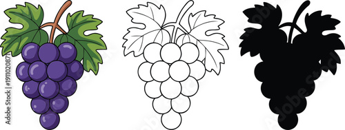 Grapes with leaves silhouette & Outline and illustration set isolated on transparent background