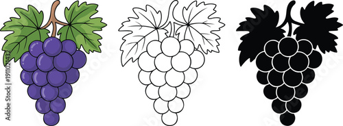 Grapes with leaves silhouette & Outline and illustration set isolated on transparent background