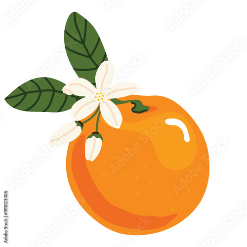 Fresh and bright orange with blossoms and green leaves. Citrus fruit collection, orange fruit, juicy food, healthy nutrition, organic product, natural vitamins. Perfect for stickers, cards