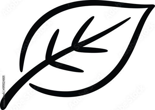 Monochrome outline drawing of a single deciduous leaf exhibits prominent central vein structure and clear marginal detail.