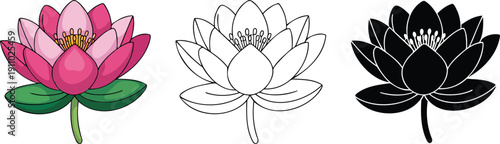 Lotus flower silhouette & Outline and illustration set isolated on transparent background