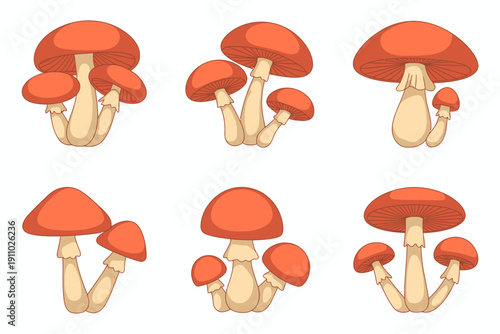 Illustrated depiction of six different types of red and white mushrooms on a neutral background