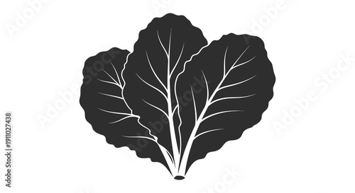 A stark black and white illustration depicts a single large kale leaf with prominent veins and edges high quality professional