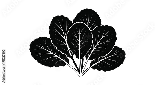 A striking black and white illustration depicts a cluster of leafy greens possibly bok choy or similar vegetable high quality