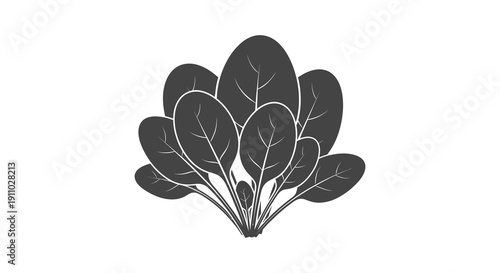 A striking black and white illustration depicts a dense cluster of leafy greens resembling spinach or similar foliage