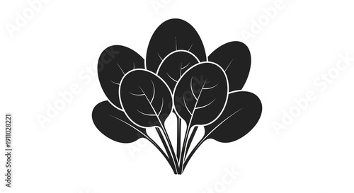 A stylized black and white illustration depicts a cluster of spinach leaves showcasing a simple botanical design high quality professional