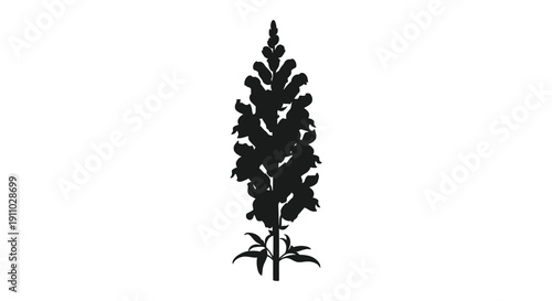 A stark black silhouette depicts a slender coniferous tree likely a pine or fir against a white background