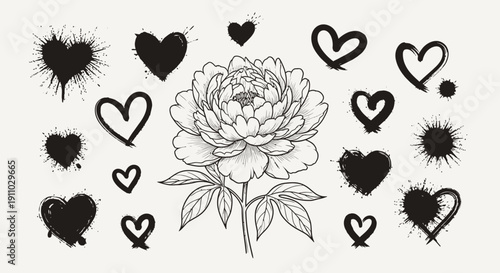 Collection of black hearts and a delicate peony flower illustration