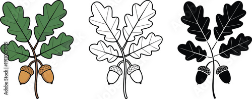 Oak branch with leaves and acorns silhouette & Outline and illustration set isolated on transparent background