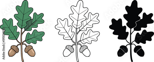 Oak branch with leaves and acorns silhouette & Outline and illustration set isolated on transparent background