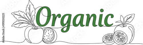 Organic Fresh Fruits Illustration