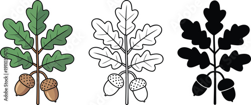 Oak branch with leaves and acorns silhouette & Outline and illustration set isolated on transparent background