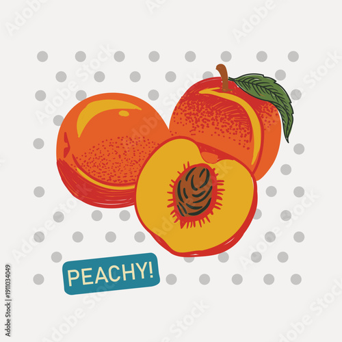 Hand drawn Summer graphics peaches design.organic fruit graphics. vintage retro fruit art. girls graphic .retro vintage fruit illustration for tee.Natural organic peaches fruit vector.  apricot fruit