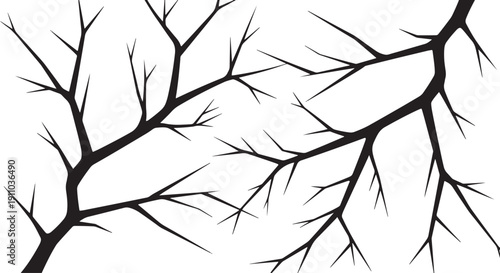 Bare Tree Branches Silhouette Against White Background bare branches black and white