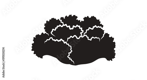 A simple black and white illustration depicts a dense rounded bush or tree canopy outlined against a white background