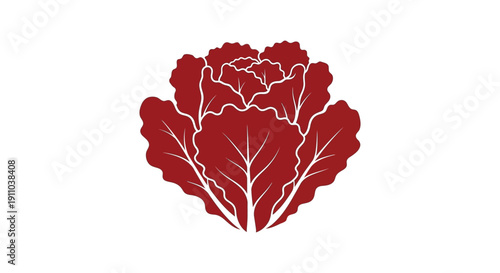 A vibrant stylized illustration depicts a red radicchio lettuce head against a clean white background high quality professional