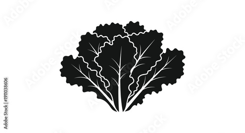 A minimalist black and white illustration depicts a leafy green vegetable resembling kale or a similar plant high quality professional