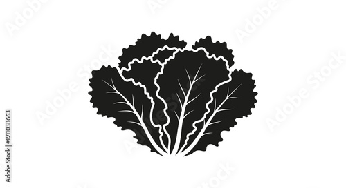 A simple black and white illustration depicts a head of leafy greens likely kale or cabbage high quality