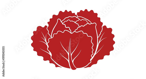 A stylized illustration depicts a vibrant red cabbage head with prominent textured leaves showcasing a simple design