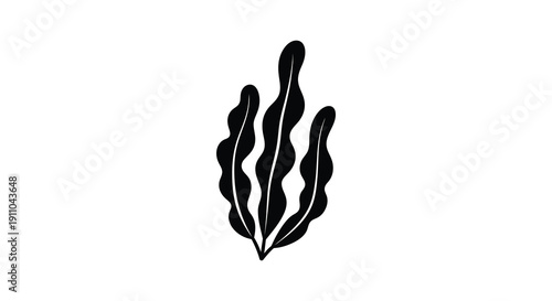 A simple black and white illustration depicts a stylized seaweed or kelp plant on a blank background high quality professional