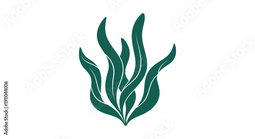 A stylized illustration depicts dark teal seaweed or kelp with flowing organic shapes against a white background