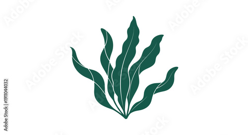 A stylized illustration depicts a cluster of dark green seaweed or kelp showcasing organic shapes and minimal detail