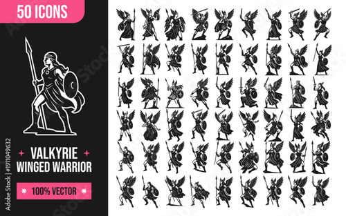 Valkyrie warrior icons set for mythology and fantasy designs