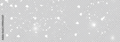 Small snow fallen in front of the panorama view background.