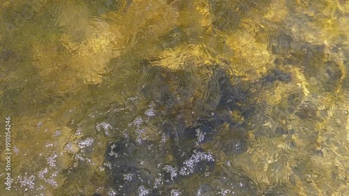 Mesmerizing top view of crystal-clear water with subtle ripples and occasional water drops creating delicate splashes. Perfect for backgrounds, relaxation, and nature themes.