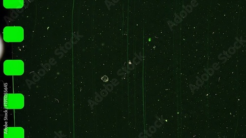 Green film strip on black background.