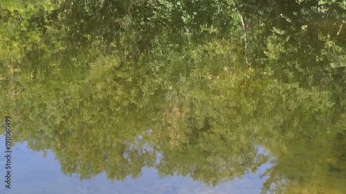 A serene scene of trees reflected in still water. The green foliage contrasts beautifully with the blue sky, creating a peaceful natural backdrop.