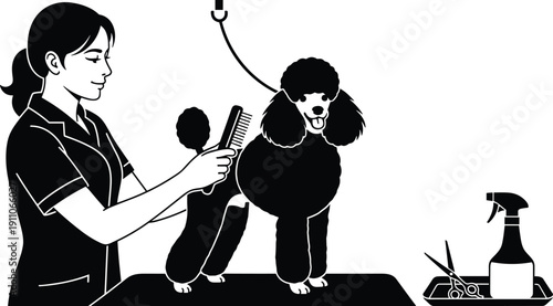 Female dog groomer silhouette brushing fur of poodle dog at salon with scissors and spray bottle representing pet care.