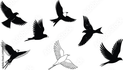 Collection of flying bird silhouettes showing different species in motion with spread wings for nature and freedom concept designs.