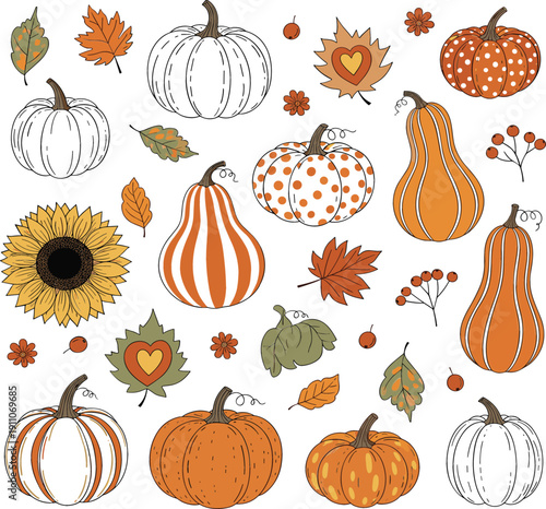 Autumn Pumpkin and Fall Harvest Vector Set with Gourds, Sunflower, Leaves, Berries and Seasonal Decorative Elements Illustration
