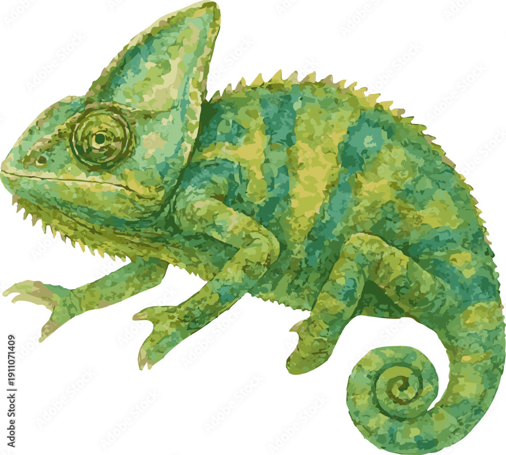 Naklejka premium Vector watercolor illustration of a veiled chameleon