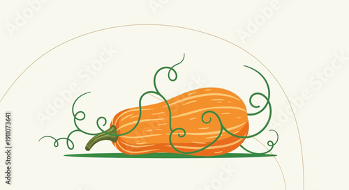 Vibrant Butternut Squash With Twisting Green Tendrils And Subtle Background Curve