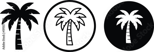 Three black and white palm tree icons in different styles and formats Keywords: palm tree, icon, logo, silhouette, tropical