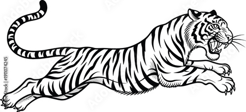 Jumping tiger illustration in black and white line art style showing powerful wild animal in motion, fierce predator pose, vintage engraving vector design