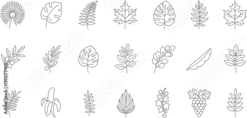 Collection of simple black and white line art icons featuring various tropical botanical elements including diverse leaf shapes fruit bunches and delicate sprigs ideal for design projects
