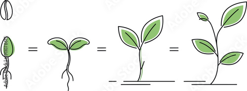 Simple line art illustration depicting the essential stages of seed germination and plant growth progression from seed to mature seedling over time