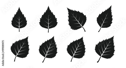 Detailed leaf shapes in black and white a striking botanical silhouette