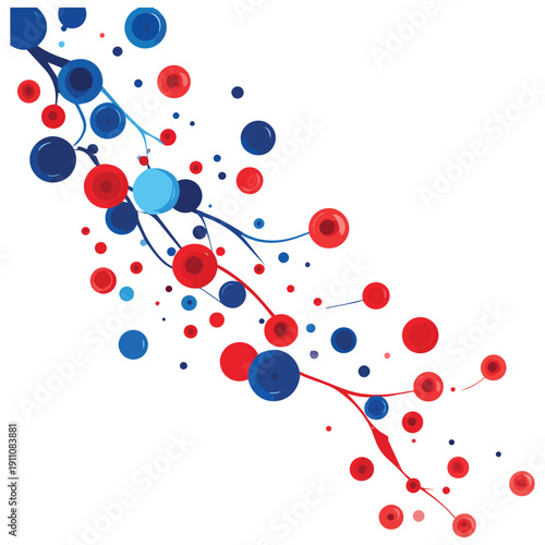 Capillary Blood Flow 12