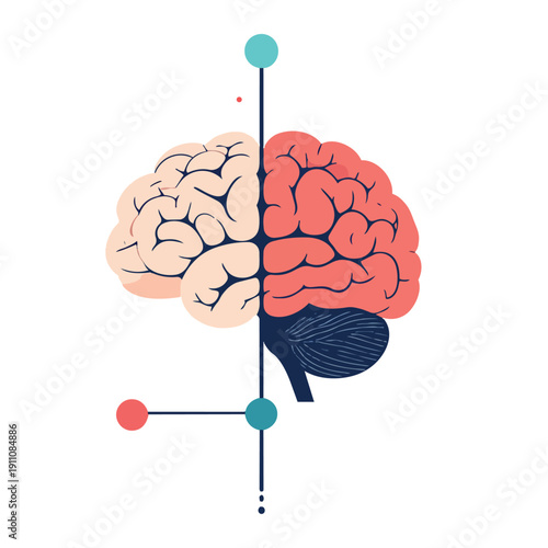 Gut–Brain Axis 8
