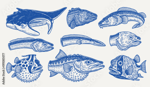 Cut fish head. diverse fish and fish head illustration. isolated on white background