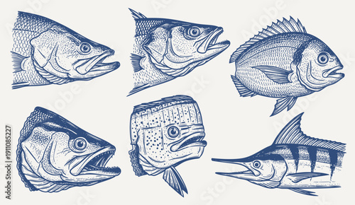 Cut fish head. diverse fish and fish head illustration. isolated on white background