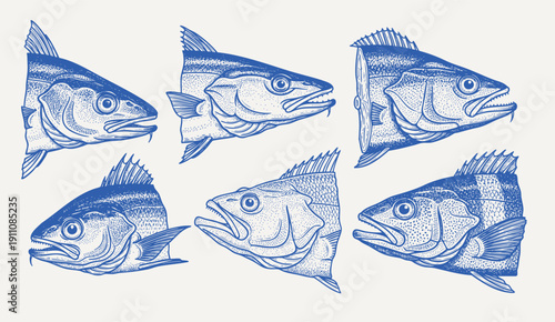 Cut fish head. diverse fish and fish head illustration. isolated on white background