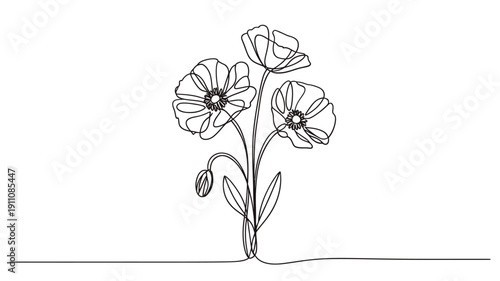 Minimalist line drawing of three poppy flowers with stems and buds